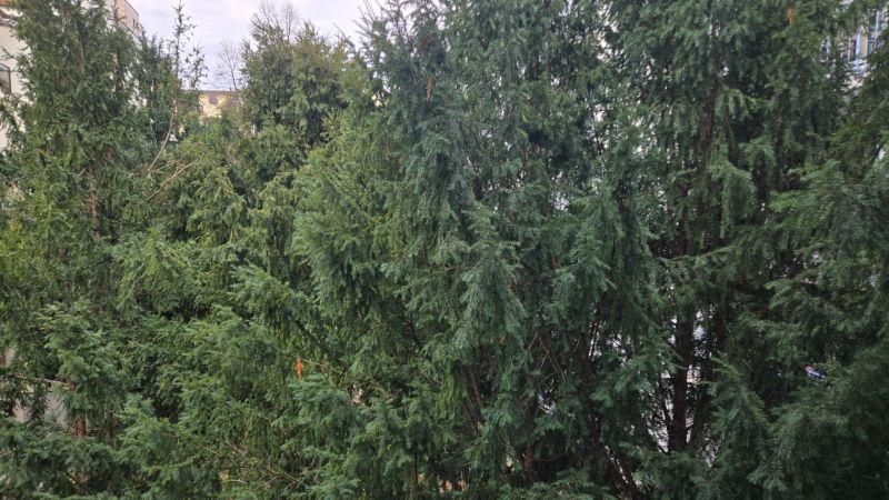 Sale Two bedroom apartment, Two bedroom apartment, Panenská, Bratislav